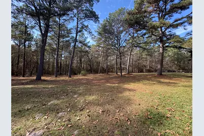 4542 Evergreen Forest Lane, Navasota, TX 77868 - Photo 19