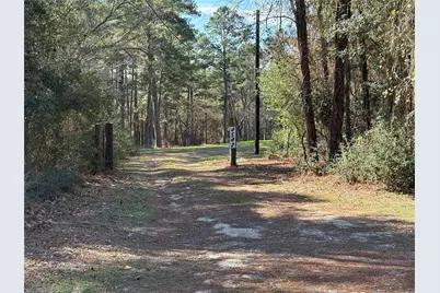 4542 Evergreen Forest Lane, Navasota, TX 77868 - Photo 9