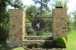 126 Traveler Trl, Willis, TX 77378 - Photo 1
