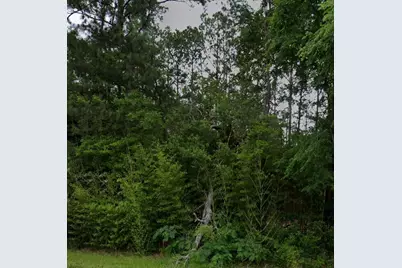 .44 Ac Fm 3414, Jasper, TX 75951 - Photo 3