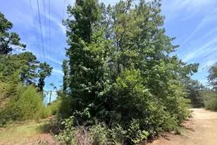 44 Ac Fm 3414, Jasper, TX 75951 - Photo 1