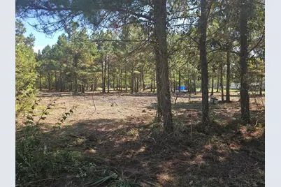 175 County Road 4873, Dayton, TX 77535 - Photo 7