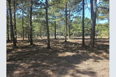 175 County Road 4873, Dayton, TX 77535 - Photo 5