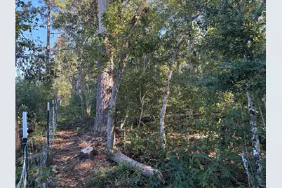 0 L C Herschap Lane, Livingston, TX 77351 - Photo 1