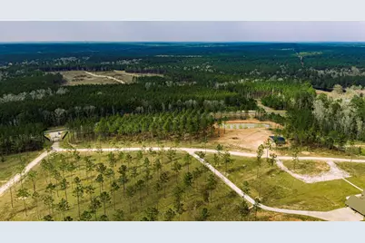 219 Big Buck Drive, Moscow, TX 75960 - Photo 5