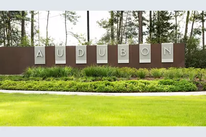 501 Audubons Shearwater Way, Magnolia, TX 77354 - Photo 19