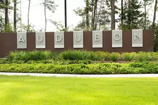 501 Audubons Shearwater Wy, Magnolia, TX 77354 - Photo 19