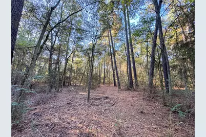 156 Lessa Lane, Huntsville, TX 77340 - Photo 17