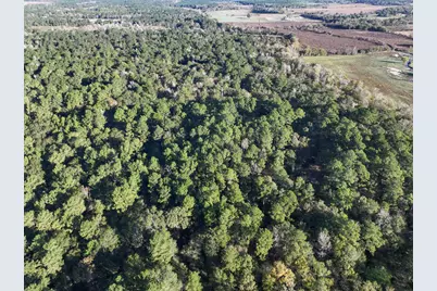 156 Lessa Lane, Huntsville, TX 77340 - Photo 1