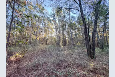 156 Lessa Lane, Huntsville, TX 77340 - Photo 15