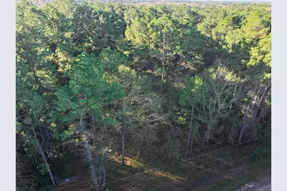 156 Lessa Lane, Huntsville, TX 77340 - Photo 3