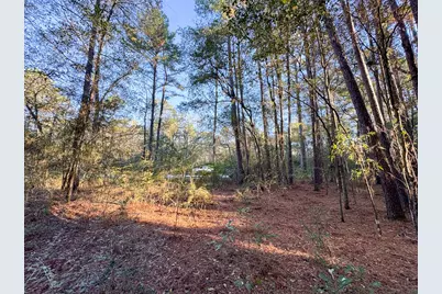156 Lessa Lane, Huntsville, TX 77340 - Photo 13