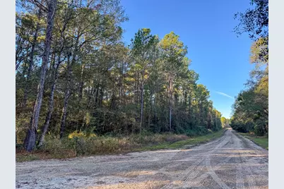 156 Lessa Lane, Huntsville, TX 77340 - Photo 9