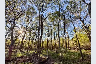 156 Lessa Lane, Huntsville, TX 77340 - Photo 19