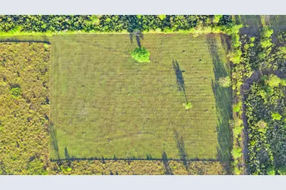 11703 County Road 48, Rosharon, TX 77583 - Photo 11