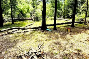 341 Pine Valley Dr, Shepherd, TX 77371 - Photo 7