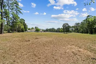 46509 McGill Rd, Plantersville, TX 77363 - Photo 35