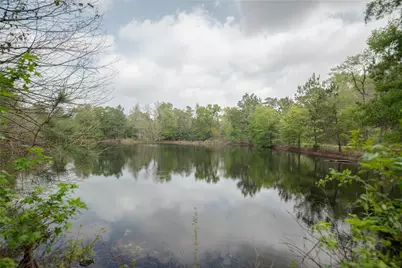Tbd Firetower Road, New Caney, TX 77357 - Photo 5