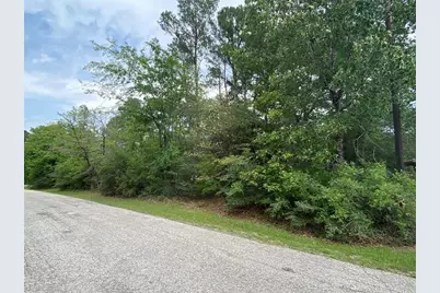 51 Wood Harbor, Trinity, TX 75862 - Photo 9