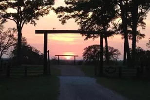 200 Acres Spring Branch Rd, Montgomery, TX 77316 - Photo 3