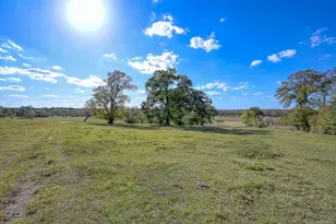 200 Acres Spring Branch Rd, Montgomery, TX 77316 - Photo 33