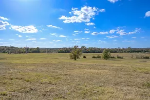 200 Acres Spring Branch Rd, Montgomery, TX 77316 - Photo 35