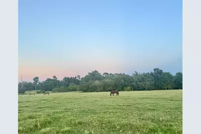 200 Acres Spring Branch Road, Montgomery, TX 77316 - Photo 29