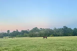 200 Acres Spring Branch Rd, Montgomery, TX 77316 - Photo 29