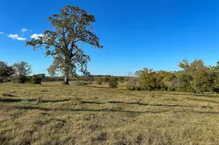 200 Acres Spring Branch Rd, Montgomery, TX 77316 - Photo 31
