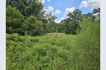 10069 Oxford Lane, Iola, TX 77861 - Photo 3