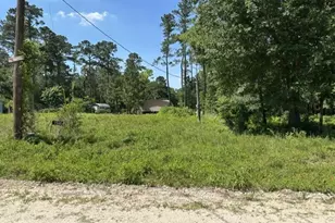 7743 Redbud Ln, Plantersville, TX 77363 - Photo 1