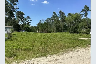 7743 Redbud Lane, Plantersville, TX 77363 - Photo 7