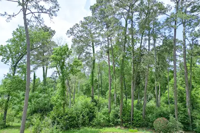 0 Roanoke Drive, Conroe, TX 77302 - Photo 29