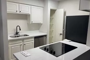 2507 Montrose Blvd, Houston, TX 77006 - Photo 7