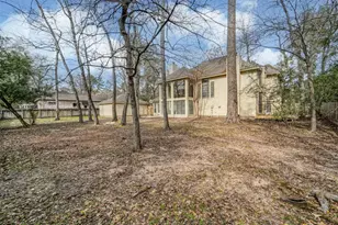 67 N Skyflower Ct, The Woodlands, TX 77381 - Photo 45