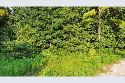 25973 Sussex, New Caney, TX 77357 - Photo 3