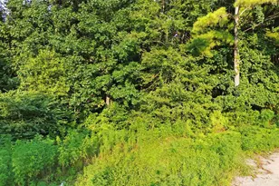 25973 Sussex, New Caney, TX 77357 - Photo 3