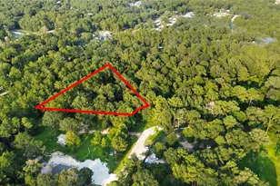 25973 Sussex, New Caney, TX 77357 - Photo 1