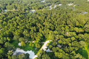 25973 Sussex, New Caney, TX 77357 - Photo 5