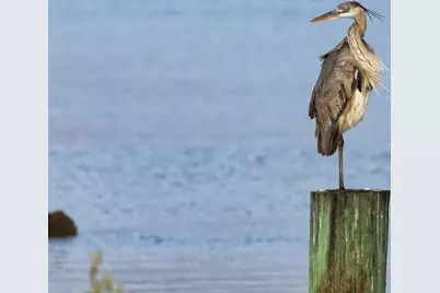 566 Private Road 674, Sargent, TX 77414 - Photo 7