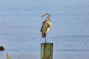 566 Private Rd 674, Sargent, TX 77414 - Photo 7