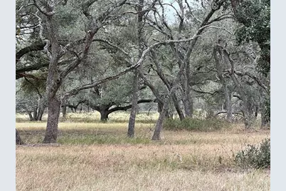 1482 Ramsey Road, Alleyton, TX 78935 - Photo 3