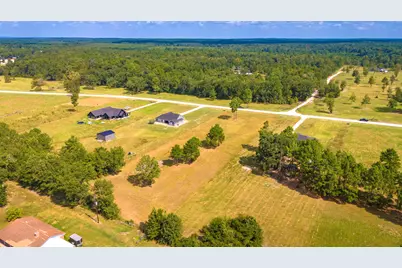 350 Brushy Creek Dr, Onalaska, TX 77360 - Photo 5