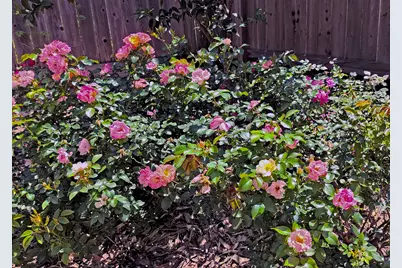 5951 South Loop E #47, Houston, TX 77033 - Photo 37