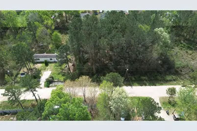 25852 Essex, New Caney, TX 77357 - Photo 3