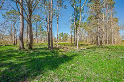 000 Stag Circle, Huffman, TX 77336 - Photo 3