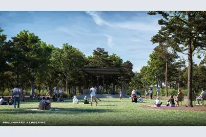 1761 Howler Way, Montgomery, TX 77316 - Photo 45