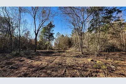 Tbd #15 County Road 475A, Henderson, TX 75654 - Photo 11