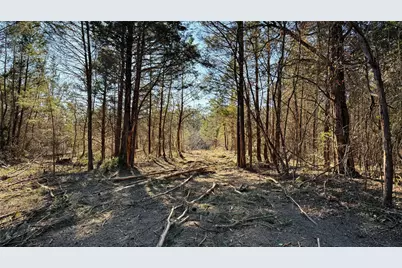 Tbd #15 County Road 475A, Henderson, TX 75654 - Photo 9