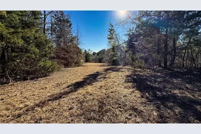 Tbd #15 County Road 475A, Henderson, TX 75654 - Photo 3